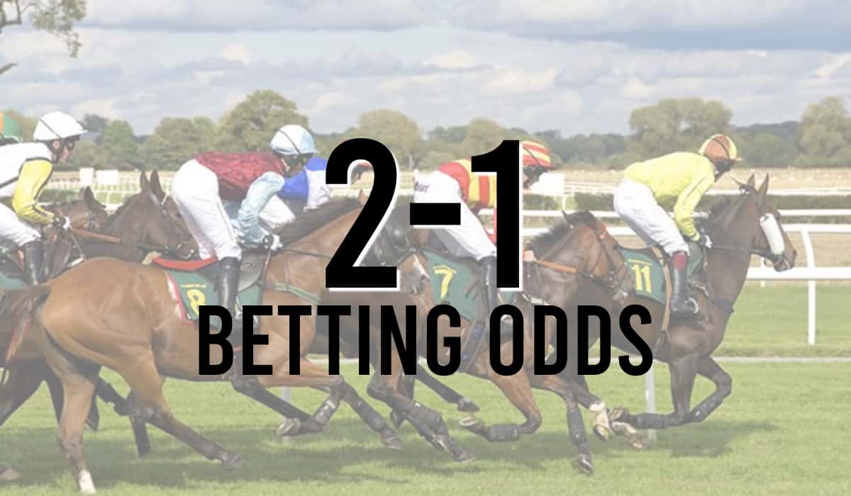 2-1 Betting Odds - What do odds of 2 to 1 mean?