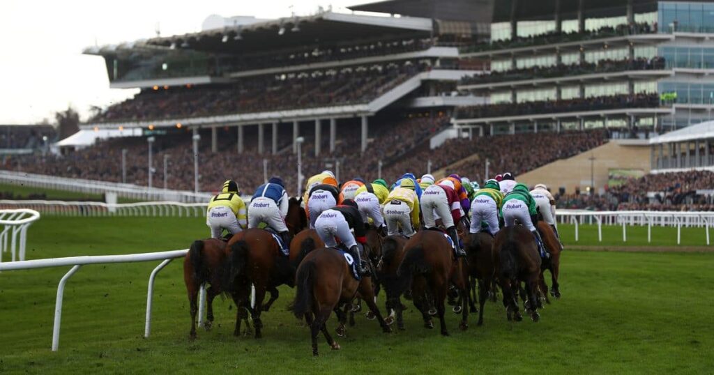William Hill Cheltenham Offers 123 William Hill Cheltenham Offer