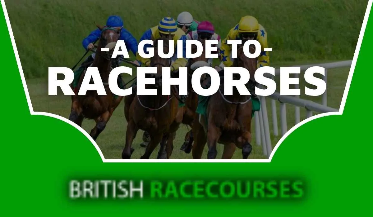 A Guide to Racehorses 1 A Guide to Racehorses