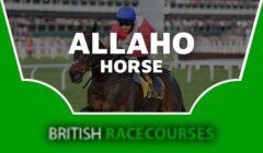 Allaho Horse