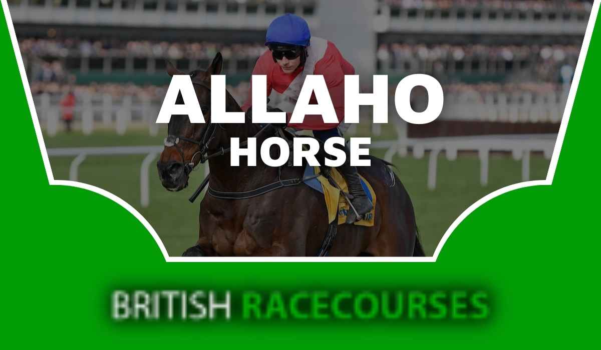Racehorse Profiles - British Racecourses