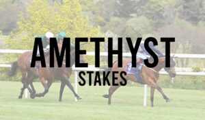Irish Group 3 Horse Races 25 Amethyst Stakes
