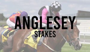 Anglesey Stakes