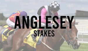 Irish Group 3 Horse Races 37 Anglesey Stakes