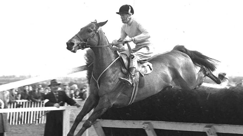 Hennessy Gold Cup Winners 4 Arkle