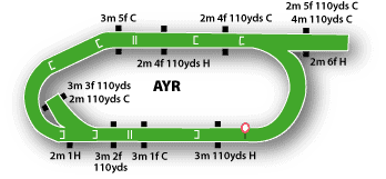 Ayr Jumps Track