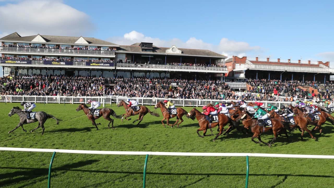 Ayr Races