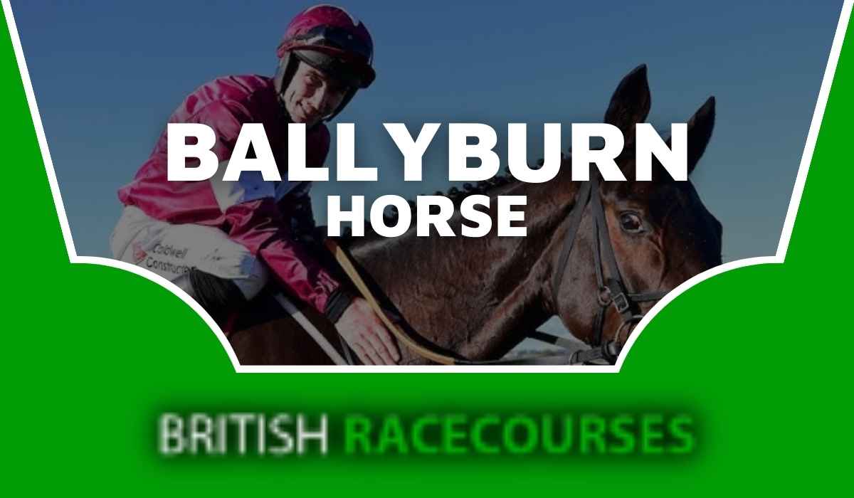 Ballyburn Horse