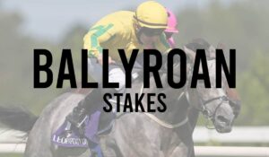 Irish Group 3 Horse Races 41 Ballyroan Stakes