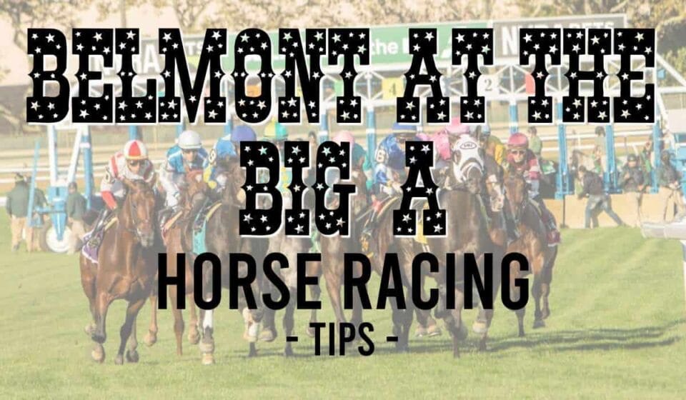 Belmont At The Big A Horse Racing Tips Today's Belmont At The Big A Picks