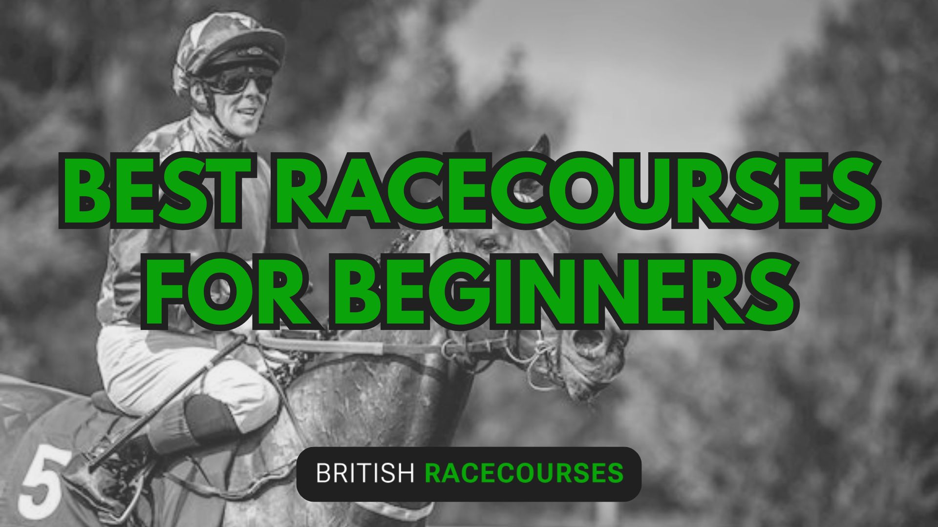 Best Racecourses for Beginners