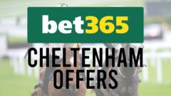 bet365 Cheltenham Offers 2026