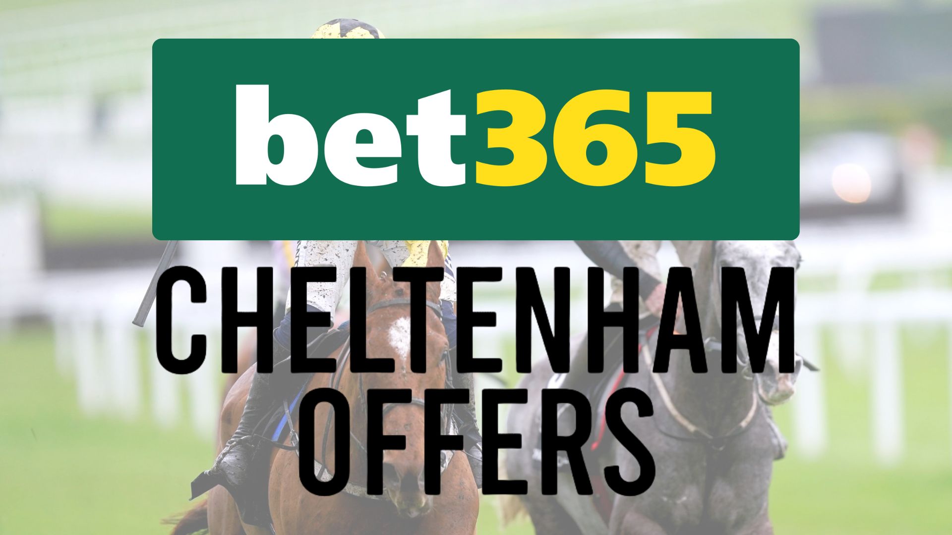 Bet 365 New