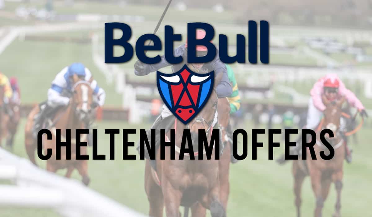 Betbull Cheltenham Offers