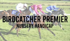 Irish Premier Handicap Horse Races 41 Birdcatcher Premier Nursery Handicap