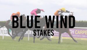 Irish Group 3 Horse Races 23 Blue Wind Stakes