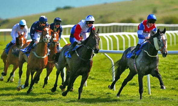 Brighton Racecourse Guide 4 Brighton Racecourse
