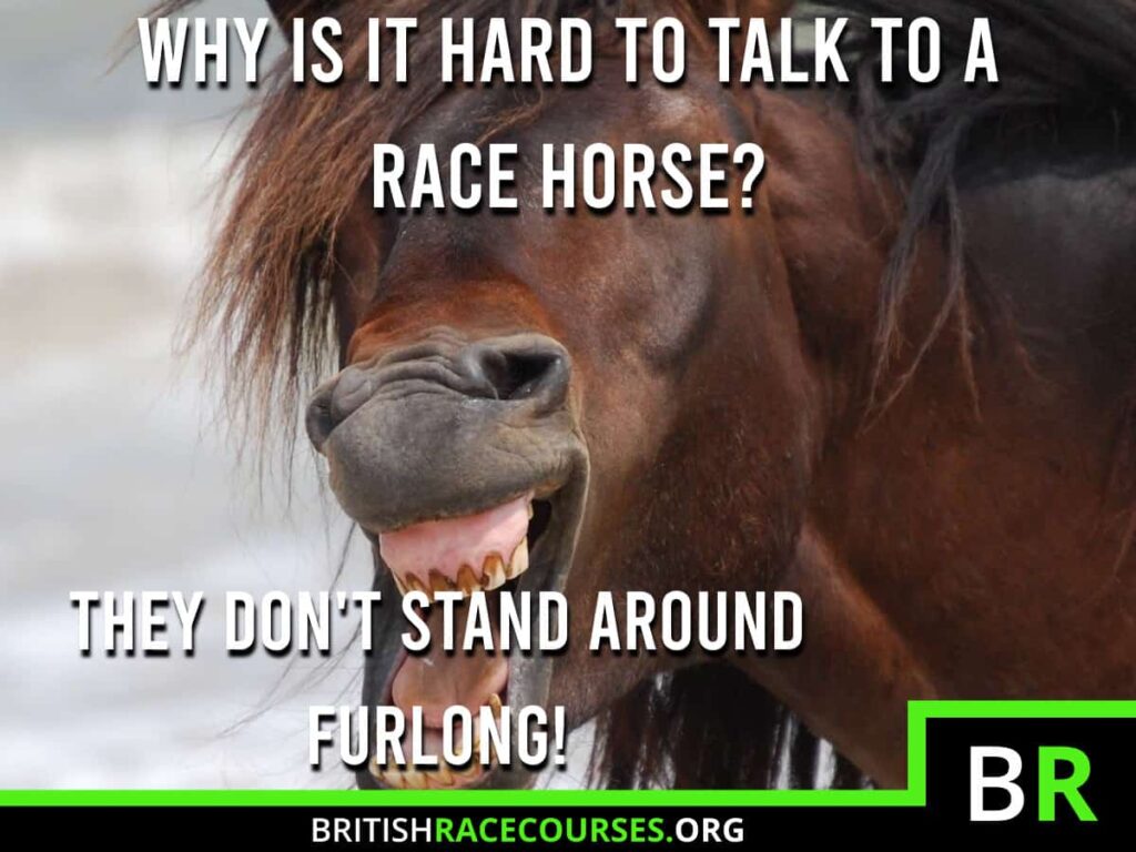 Background of goofy horse with text saying "Why Is It Hard To Talk To A Race Horse? They Don't Stand Around Furlong!". The British Racecourse Logo is in the bottom right with a black strip covering the bottom with the website url www.britishracecourse.org.
