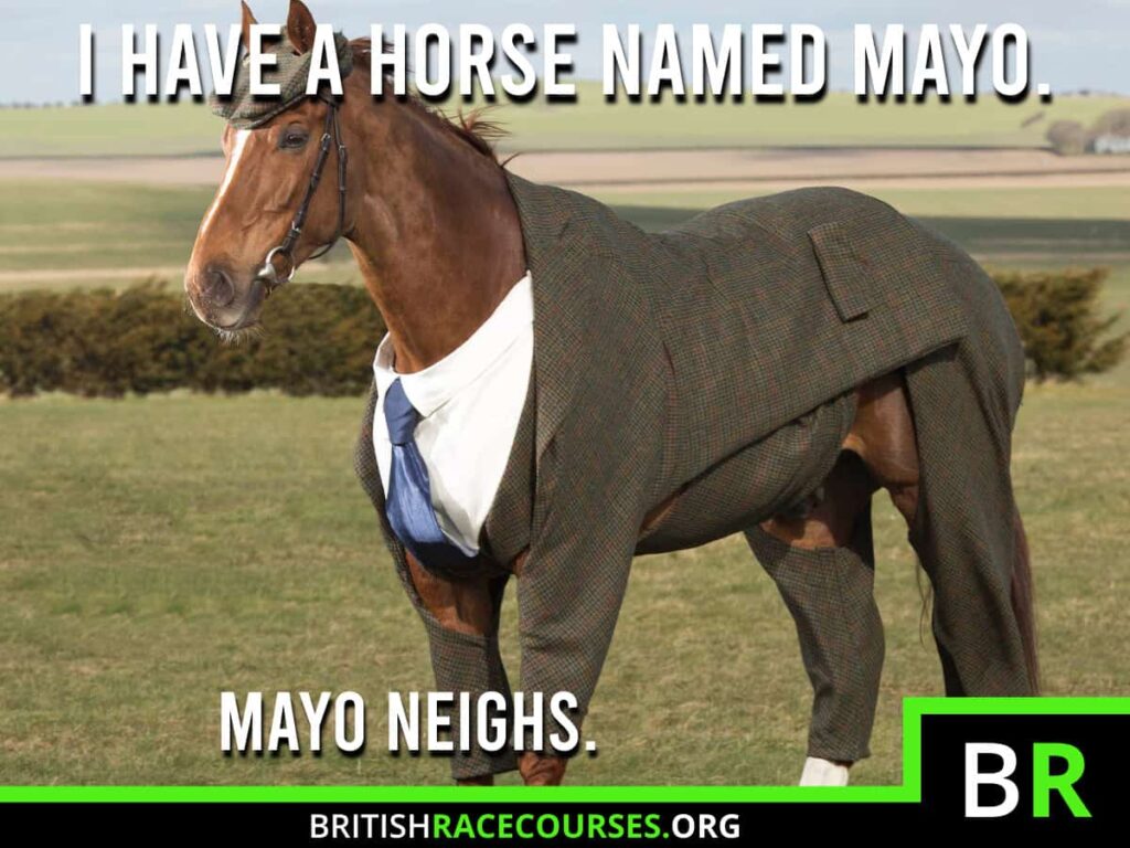Background of goofy horse with text saying "'I HAVE A HORSE NAMED MAYO. MAYO NEIGHS". The British Racecourse Logo is in the bottom right with a black strip covering the bottom with the website url www.britishracecourse.org.
