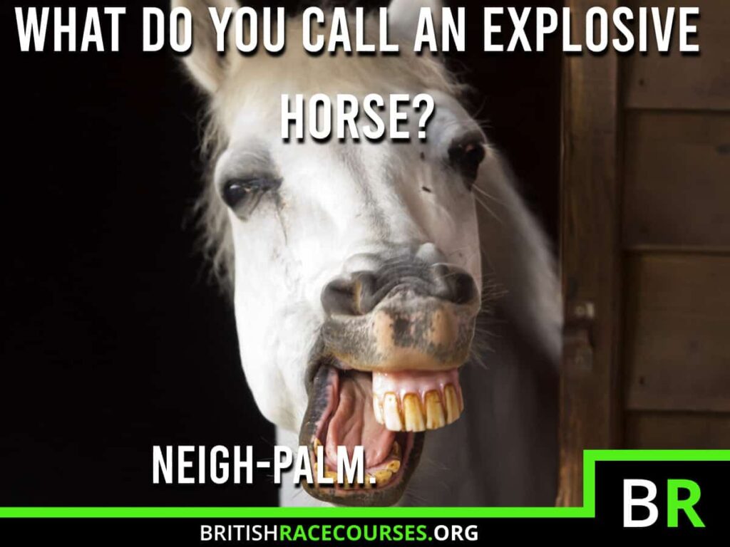 Background of goofy horse with text saying "WHAT DO YOU CALL AN EXPLOSIVE HORSE? NEIGH-PALM.". The British Racecourse Logo is in the bottom right with a black strip covering the bottom with the website url www.britishracecourse.org.