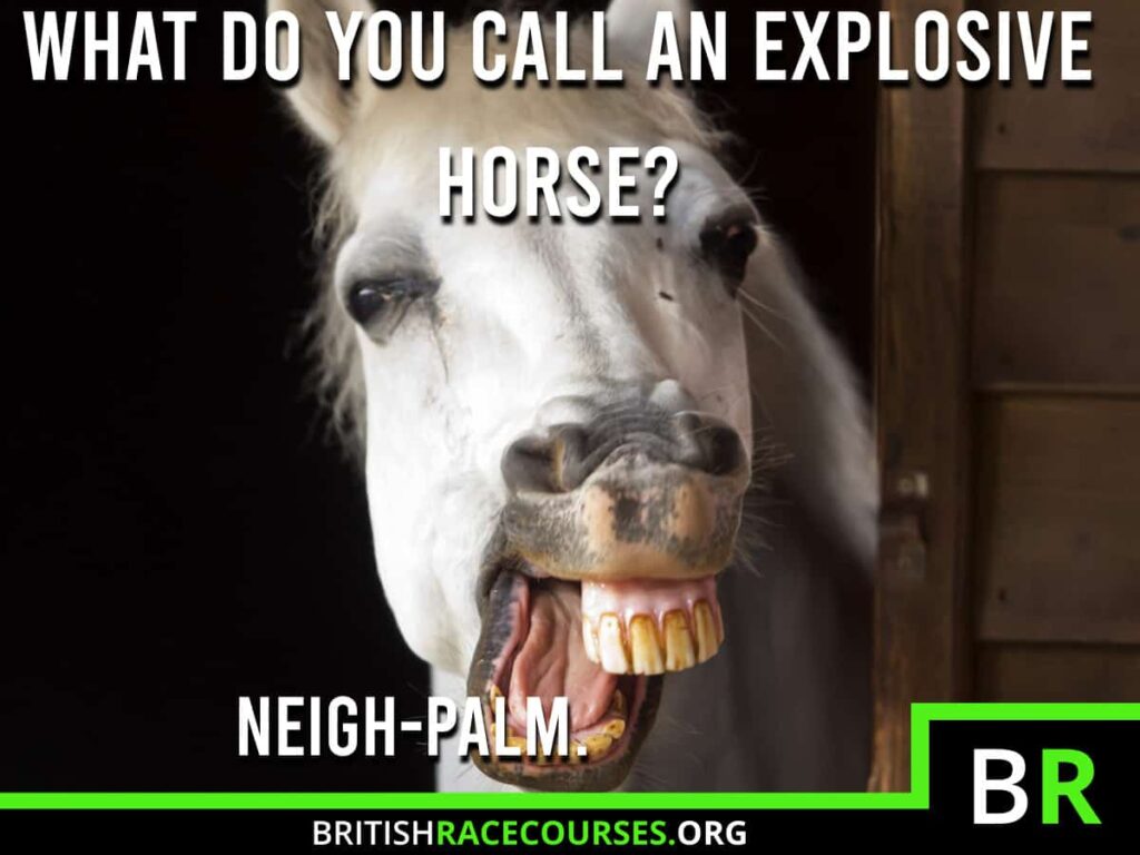 Horse Racing Memes 33 Background of goofy horse with text saying "WHAT DO YOU CALL AN EXPLOSIVE HORSE? NEIGH-PALM.". The British Racecourse Logo is in the bottom right with a black strip covering the bottom with the website url www.britishracecourse.org.