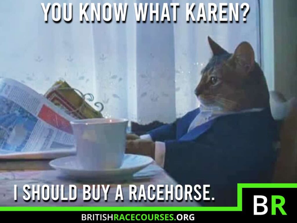 Horse Racing Memes 34 Background of a cat reading a newspaper with text saying "YOU KNOW WHAT KAREN? I SHOULD BUY A RACEHORSE". The British Racecourse Logo is in the bottom right with a black strip covering the bottom with the website url www.britishracecourse.org.