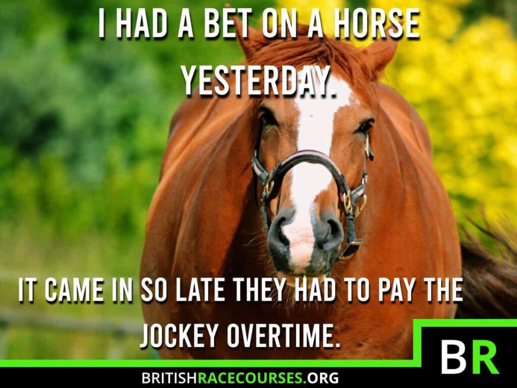 Horse Racing Memes 35 Background of a Goofy Horse with text saying "I HAD A BET ON A HORSE YESTERDAY. IT CAME IN SO LATE THEY HAD TO PAY THE JOCKEY OVERTIME". The British Racecourse Logo is in the bottom right with a black strip covering the bottom with the website url www.britishracecourse.org.
