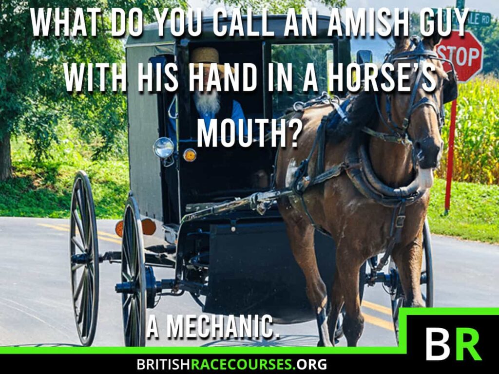 Horse Racing Memes 36 Background of a Goofy Horse with text saying "WHAT DO YOU CALL AN AMISH GUY WITH HIS HAND IN A HORSE'S MOUTH? A MECHANIC.". The British Racecourse Logo is in the bottom right with a black strip covering the bottom with the website url www.britishracecourse.org.