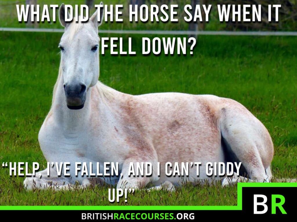 Horse Racing Memes 37 Background of a Goofy Horse with text saying "WHAT DID THE HORSE SAY WHEN IT FELL DOWN? HELP, I'VE FALLEN, AND I CAN'T GIDDY UP!". The British Racecourse Logo is in the bottom right with a black strip covering the bottom with the website url www.britishracecourse.org.