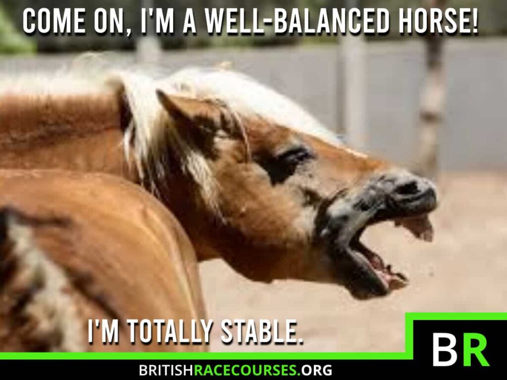Horse Racing Memes 39 Background of a Goofy Horse with text saying "COME ON, I'M A WELL-BALANCED HORSE! I'M TOTALLY STABLE.". The British Racecourse Logo is in the bottom right with a black strip covering the bottom with the website url www.britishracecourse.org.