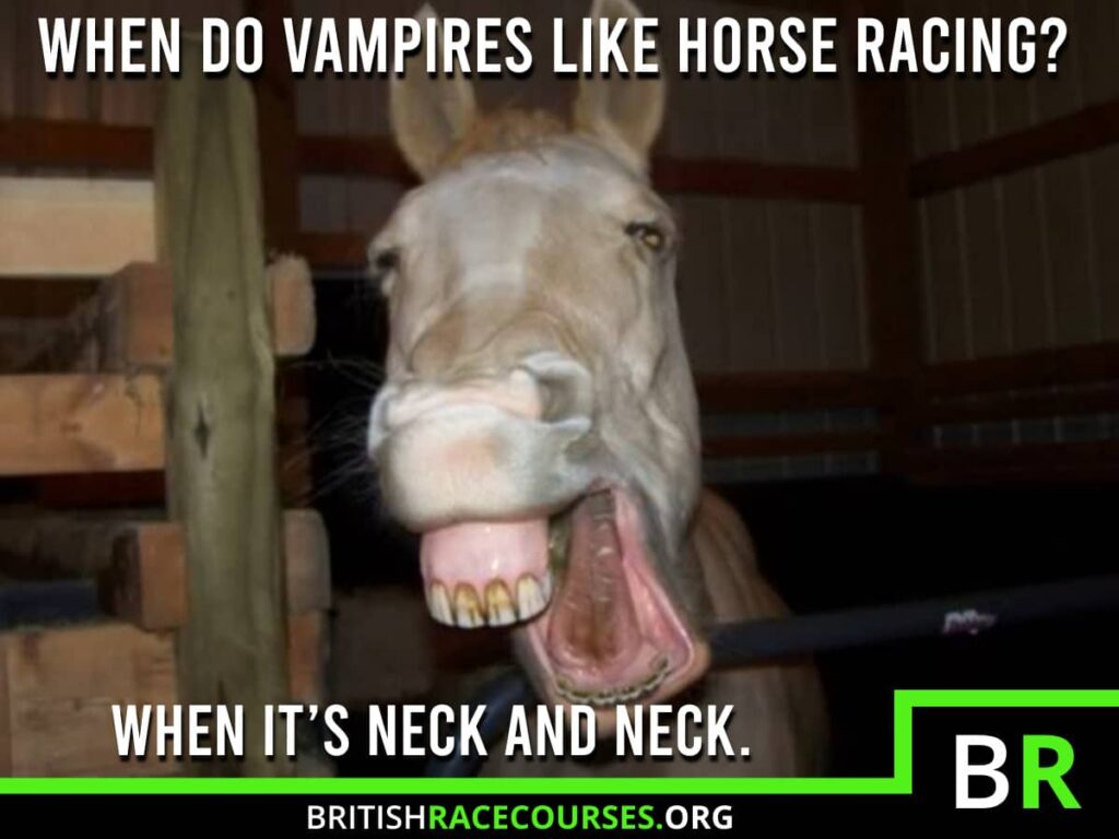 Horse Racing Memes 40 Background of a Goofy Horse with text saying "WHEN DO VAMPIRES LIKE HORSE RACING? WHEN IT'S NECK AND NECK.". The British Racecourse Logo is in the bottom right with a black strip covering the bottom with the website url www.britishracecourse.org.