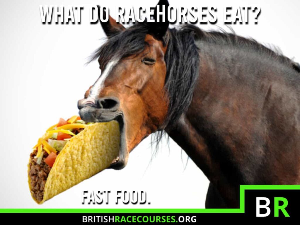 Background of a Goofy Horse with text saying "WHAT DO RACEHORSES EAT? FAST FOOD.". The British Racecourse Logo is in the bottom right with a black strip covering the bottom with the website url www.britishracecourse.org.
