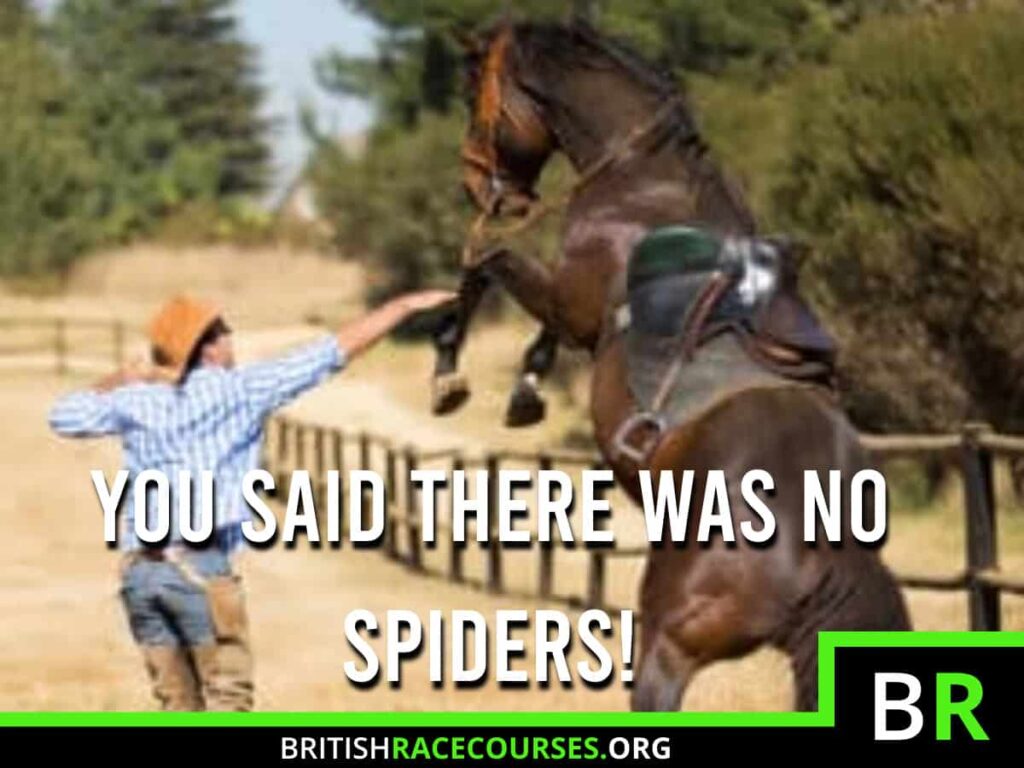 Background of goofy horse with text saying "YOU SAID THERE WAS NO SPIDERS!". The British Racecourse Logo is in the bottom right with a black strip covering the bottom with the website url www.britishracecourse.org.