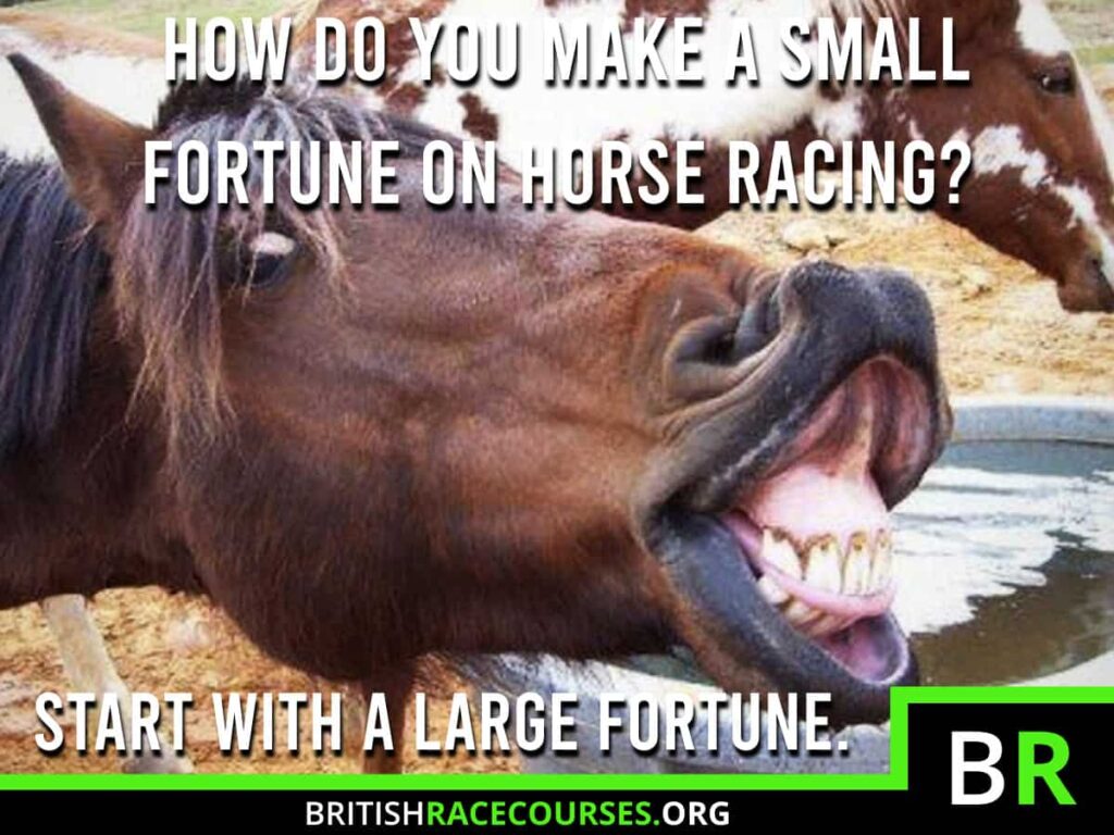 Horse Racing Memes 25 Background of goofy horse with text saying "HOW DO YOU MAKE A SMALL FORTUNE ON HORSE RACING? START WITH A LARGE FORTUNE.". The British Racecourse Logo is in the bottom right with a black strip covering the bottom with the website url www.britishracecourse.org.