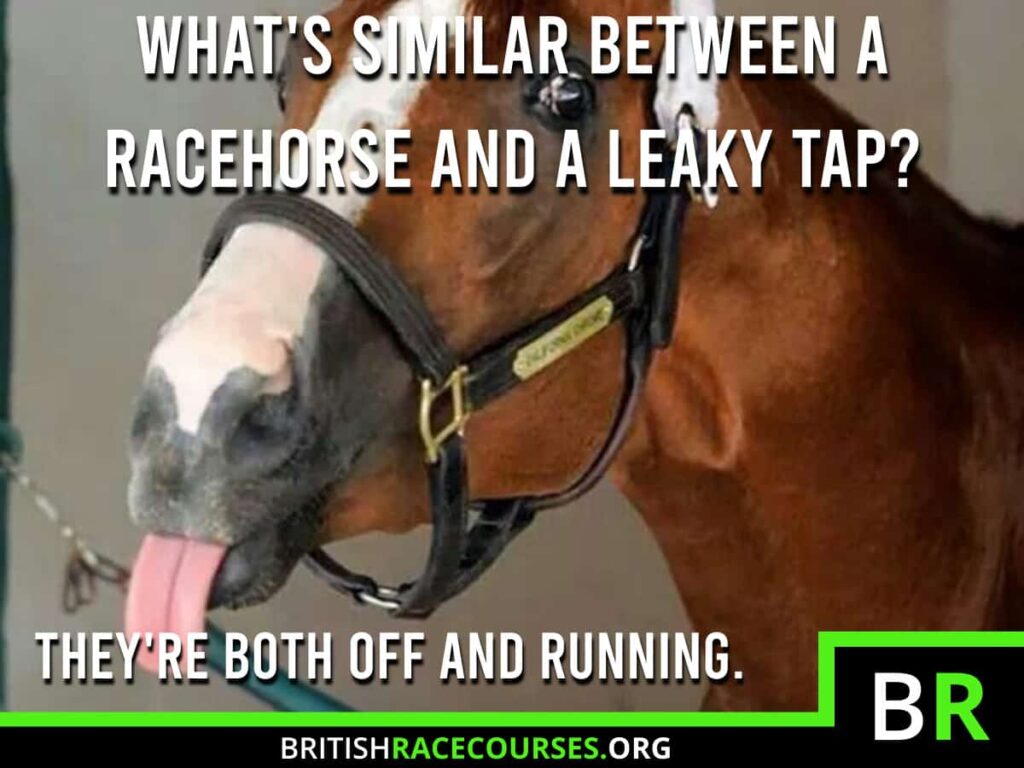 Background of goofy horse with text saying "WHAT'S SIMILAR BETWEEN A RACEHORSE AND A LEAKY TAP? THEY'RE BOTH OFF AND RUNNING.". The British Racecourse Logo is in the bottom right with a black strip covering the bottom with the website url www.britishracecourse.org.