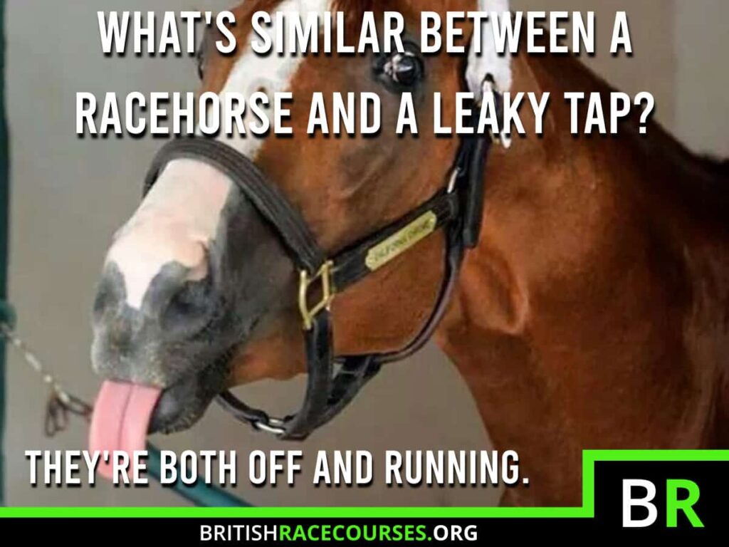 Horse Racing Memes 27 Background of goofy horse with text saying "WHAT'S SIMILAR BETWEEN A RACEHORSE AND A LEAKY TAP? THEY'RE BOTH OFF AND RUNNING.". The British Racecourse Logo is in the bottom right with a black strip covering the bottom with the website url www.britishracecourse.org.