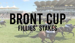 Group 3 Horse Races 25 Bront Cup Fillies Stakes