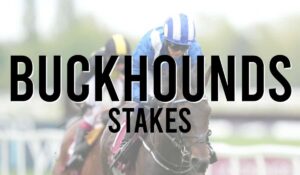 Listed Horse Races 38 Buckhounds Stakes