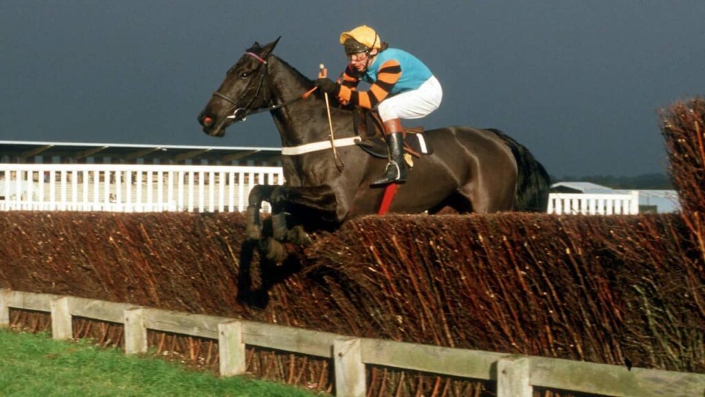 Hennessy Gold Cup Winners 7 Burrough Hill Lad
