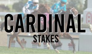 Listed Horse Races 25 Cardinal Stakes