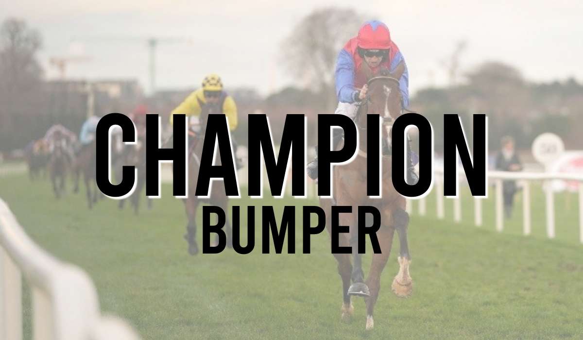 Champion Bumper