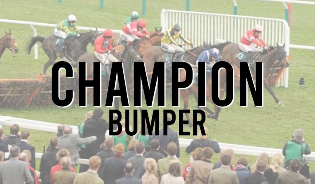 Champion Bumper