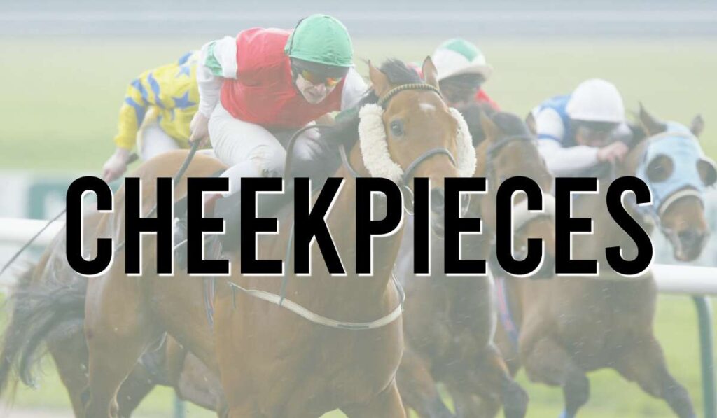 Cheekpieces Horses Today Wearing Cheek Pieces