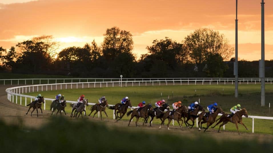  Chelmsford Racecourse