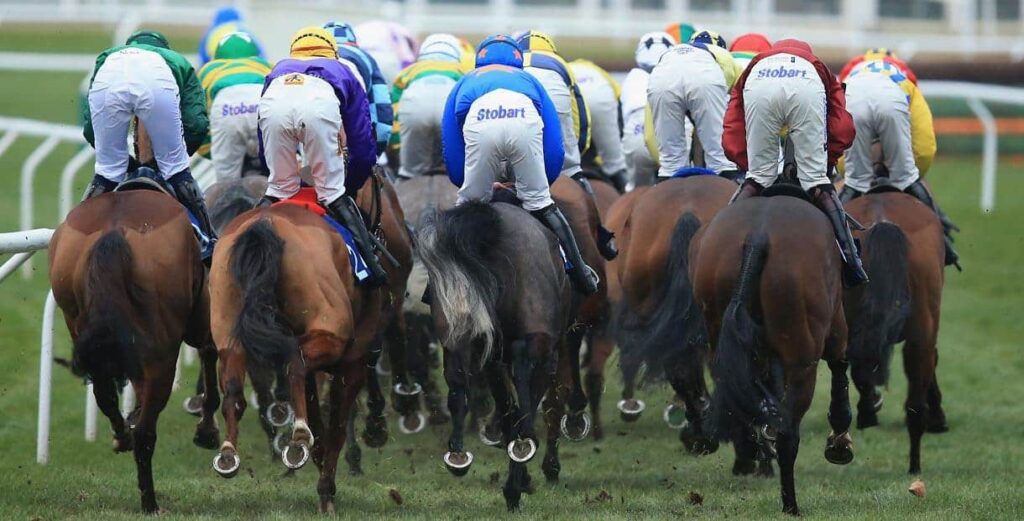 Cheltenham Festival Runners