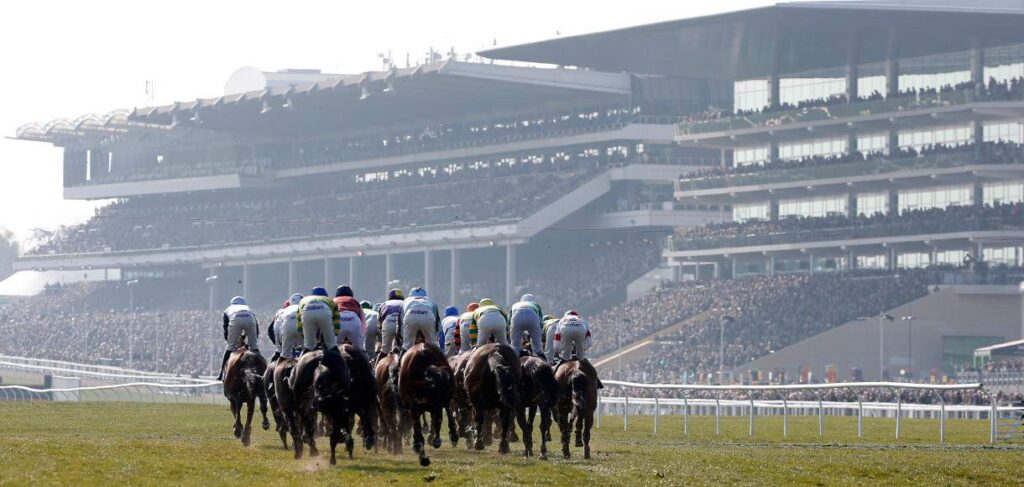 Cheltenham Racecourse Guide 2 The Ultimate Guide to Cheltenham Racetrack