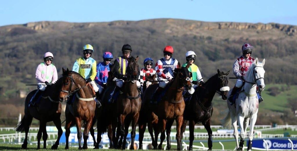 Cheltenham Racecourse Guide 4 Cheltenham Races