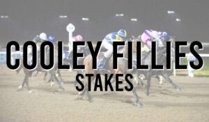 Cooley Fillies Stakes