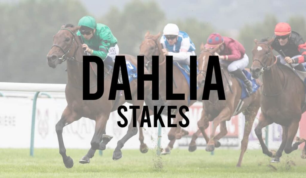 Dahlia Stakes 13 Dahlia Stakes
