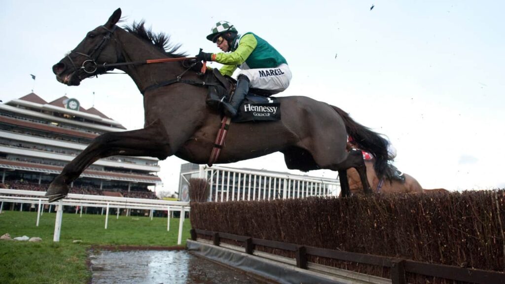 Hennessy Gold Cup Winners 10 Denman